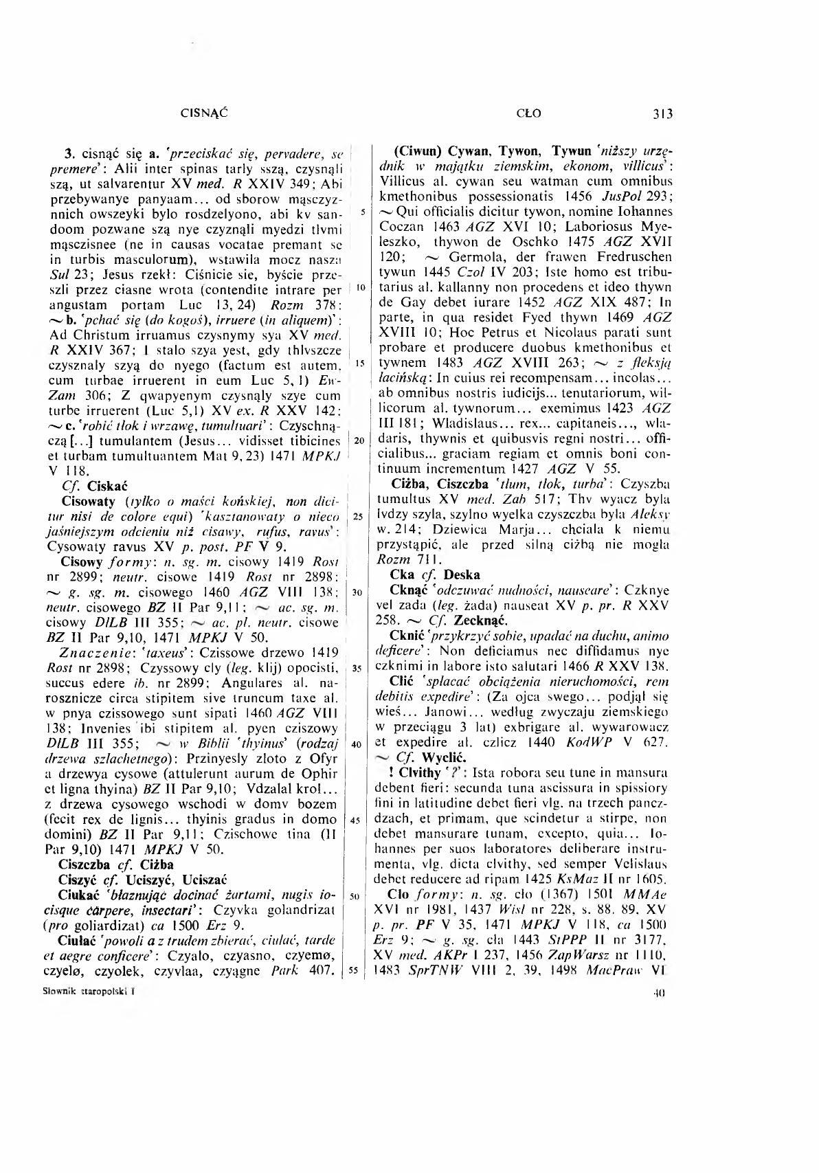 001-313-Service File.jpg